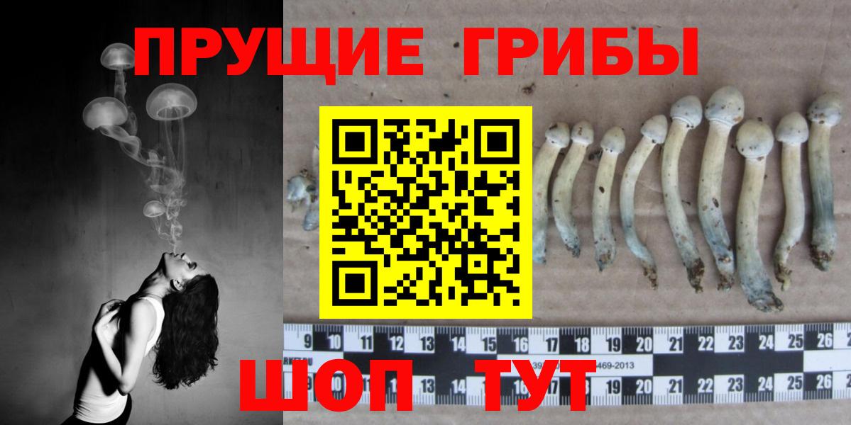 Орехово-Зуево  Галлюциногенные грибы GOLDEN TEACHER  Вход с VPN 